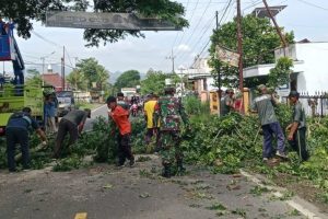 BPBD Trenggalek Lakukan Perampingan Pohon untuk Antisipasi Cuaca Ekstrem