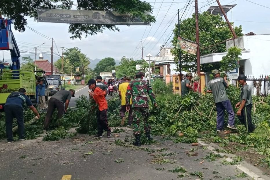 BPBD Trenggalek Lakukan Perampingan Pohon untuk Antisipasi Cuaca Ekstrem