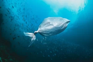 Cara Hilangkan Mikroplastik dari Air Minum