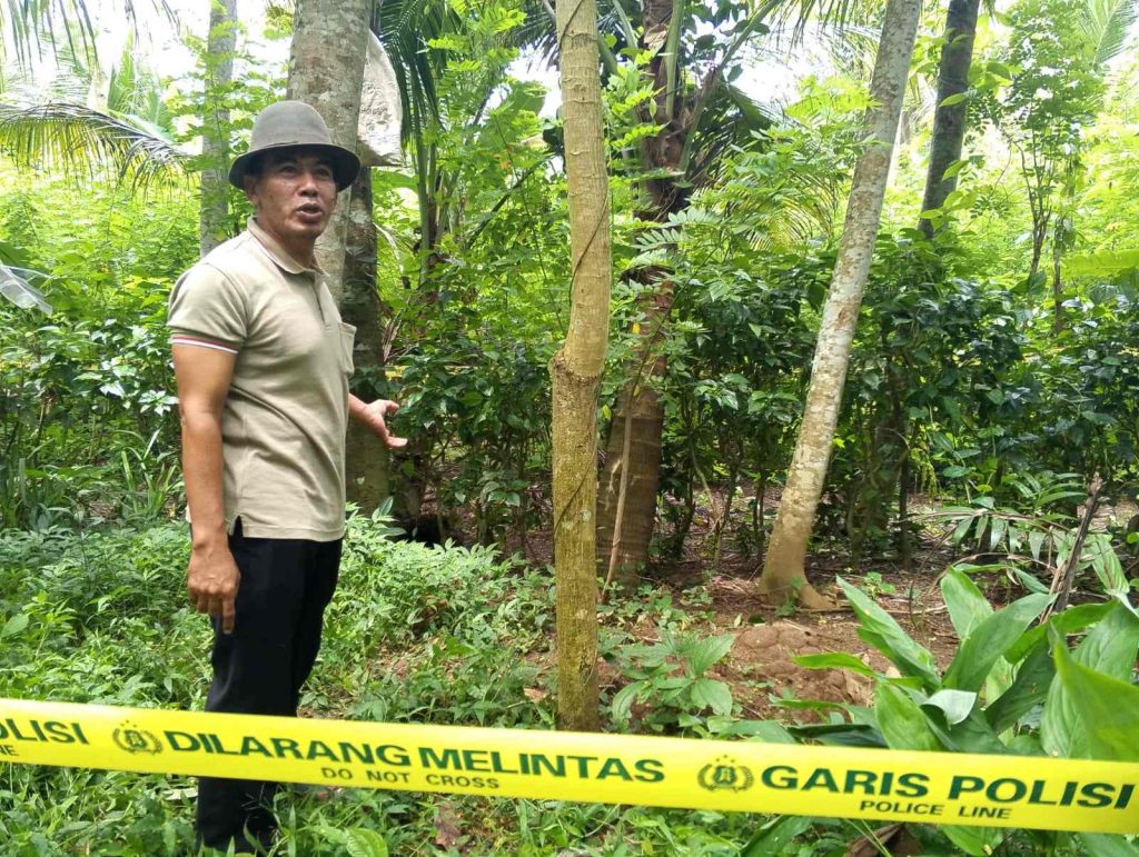 Kronologi Penemuan Bayi Terlantar di Perkebunan Warga