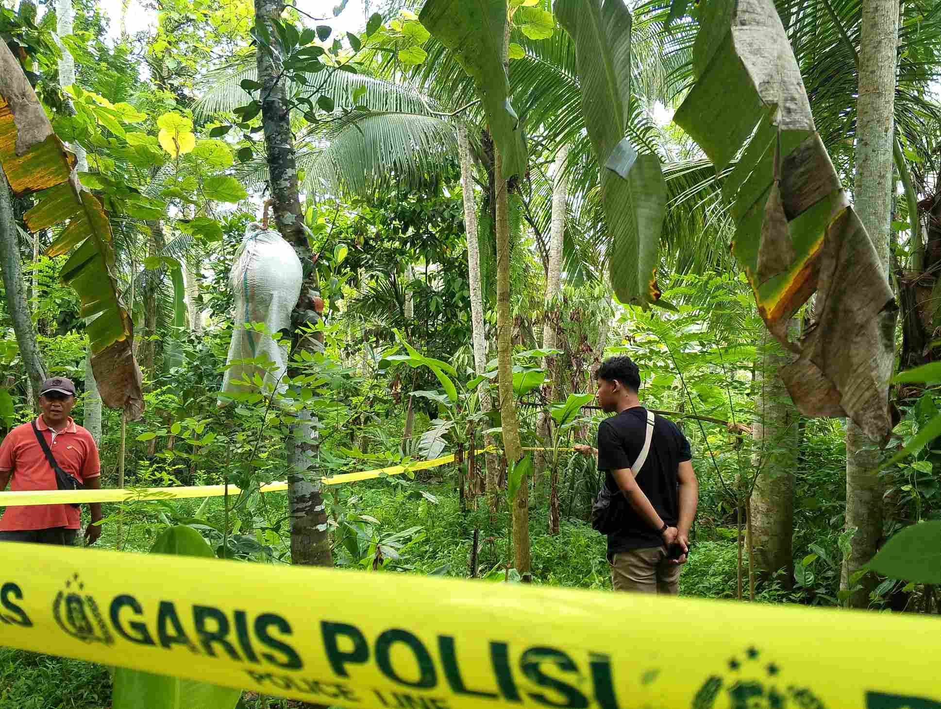 Polsek Gandusari Selidiki Penemuan Bayi di Perkebunan