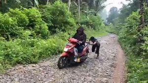 Proses Bertahap Perbaikan Jalan Hutan Plumpit di Trenggalek