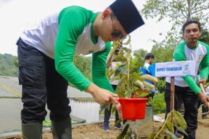 Sejarah dan Perkembangan Net Zero Carbon