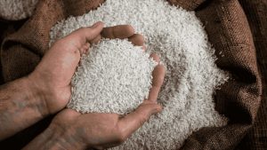 Stok Beras di Trenggalek Aman di Jelang Nataru