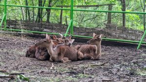 Huko Trenggalek Jadi Wisata Edukatif Bareng Keluarga