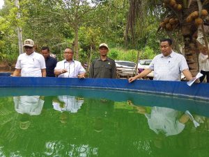 Komisi II DPRD Trenggalek Kunjungi 2 Kelompok Pengelolaan Ternak di Desa Jambu