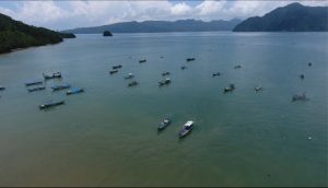 Mengulas 5 Tahun Pelabuhan Prigi dari Segi Pembangunan dan Potensi Ekonomi