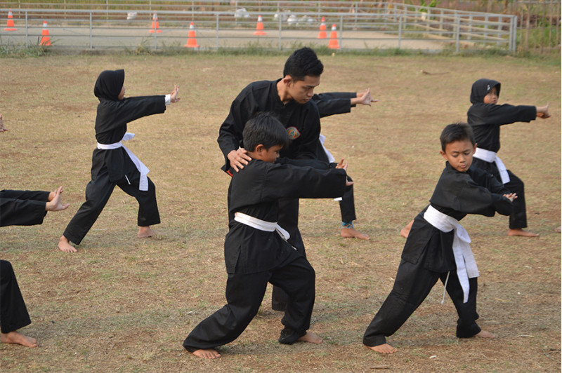 Pencak Silat