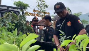 Aliansi Rakyat Trenggalek Konsisten Tolak Tambang Emas dan Bagikan 1.000 Bibit Tanaman