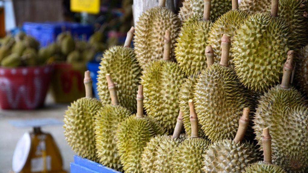 Fatwa MUI Soal Durian Mengandung Alkohol Apakah Halal atau Haram