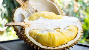 Fakta Durian Mengandung Alkohol
