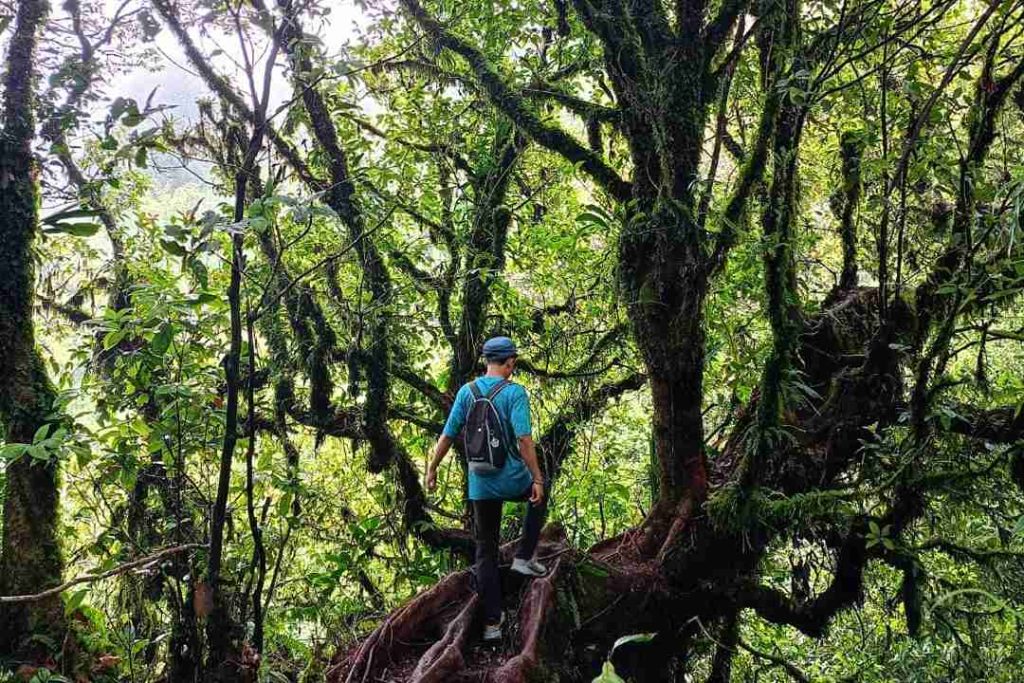 Gunung Sengunglung Identik dengan Pendaki Tektok, Ini Penjelasannya