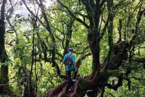 Gunung Sengunglung Identik dengan Pendaki Tektok, Ini Penjelasannya