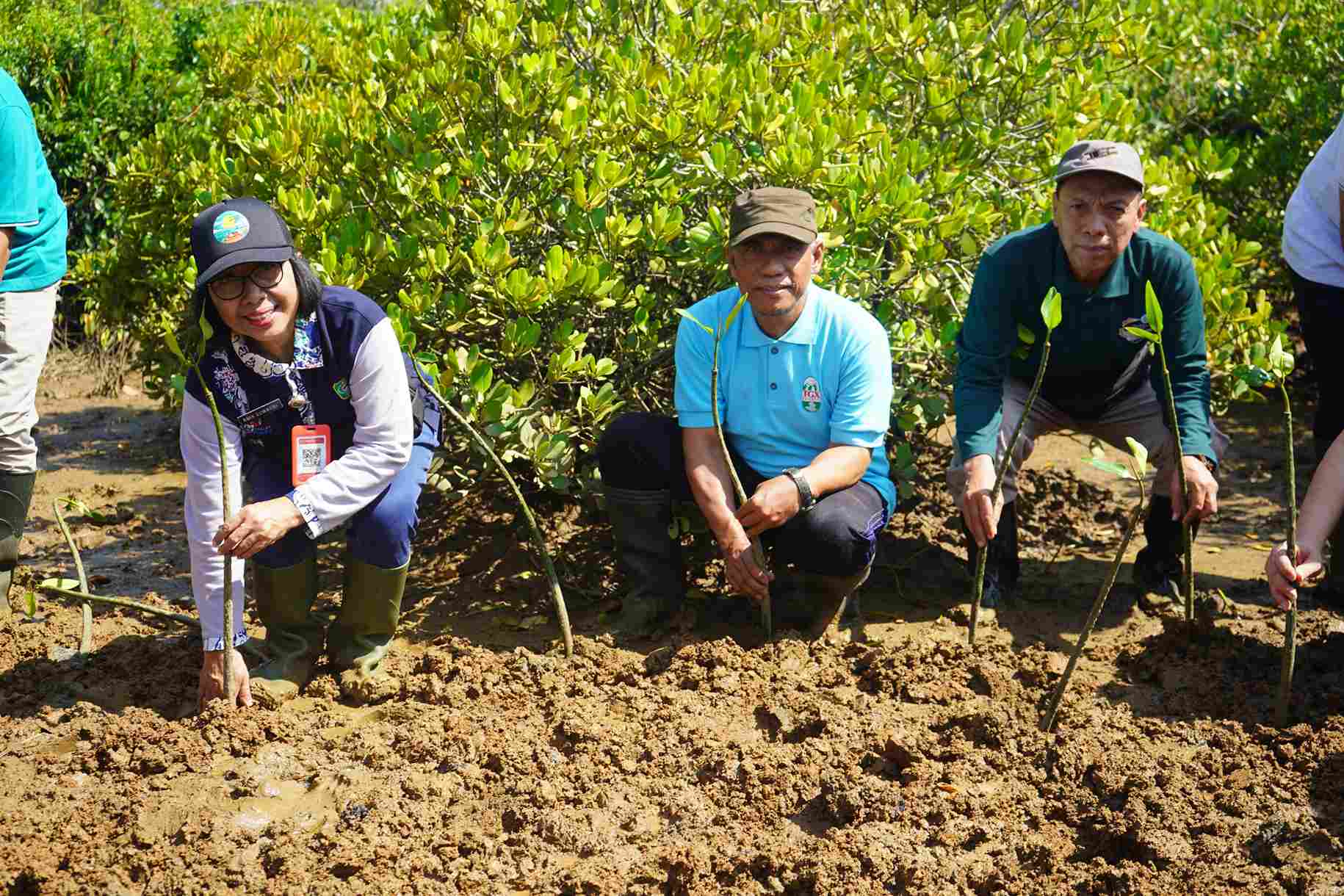 Keanekaragaman Jenis Mangrove di Trenggalek