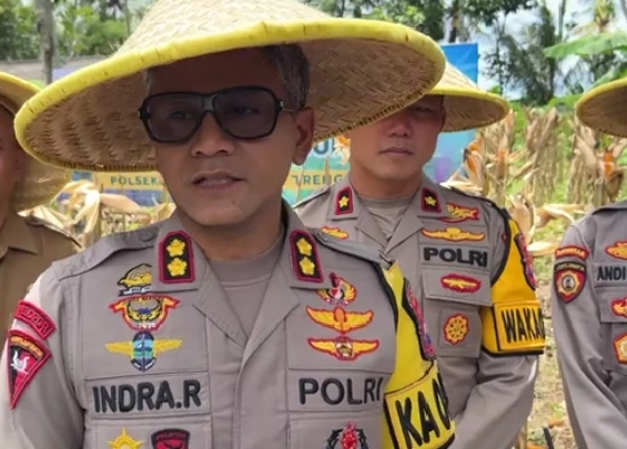 Panen Jagung Dukungan Program MBG