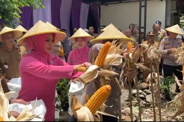 Penguatan Ketahanan Pangan