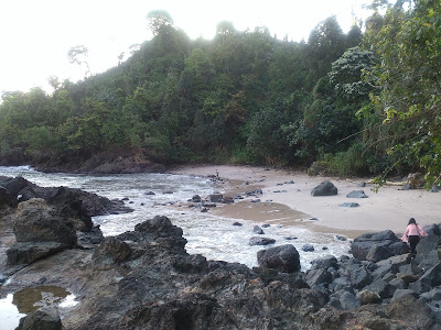Pulau Karangpegat di Watulimo Berstatus Kawasan Perhutani