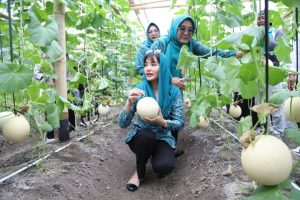 Novita Hardini Beri Dorongan Kemandirian Pangan dengan Bagikan Bibit Sayur dan Ikan