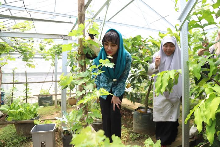 Dorong Kemandirian Pangan Lewat PKK