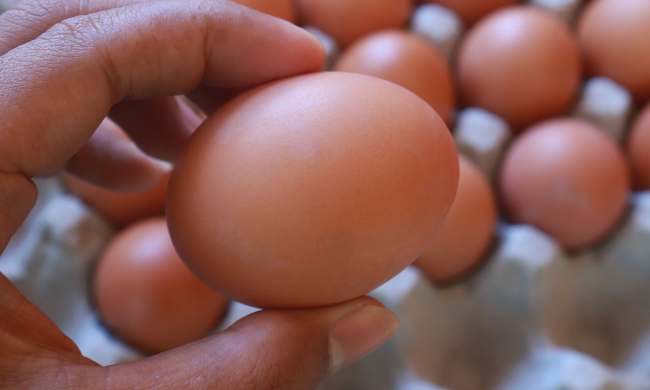 Komoditas yang Ikut Naik