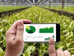 Laju Pertumbuhan Ekonomi Trenggalek Alami Perlambatan