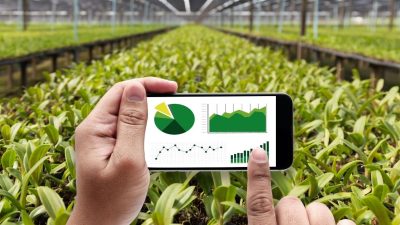 Laju Pertumbuhan Ekonomi Trenggalek Alami Perlambatan