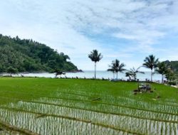 Lahan Sawah di Trenggalek Bertambah 186 Hektar