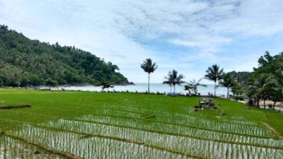 Lahan Sawah di Trenggalek Bertambah 186 Hektar
