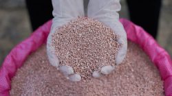 ‎Habis Beras Oplosan Terbitlah Pupuk Palsu