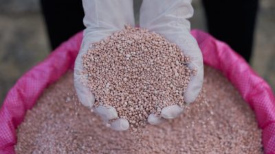 ‎Habis Beras Oplosan Terbitlah Pupuk Palsu, Ketahanan Pangan Nasional Terancam