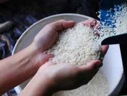 Ritel Diminta Tarik Beras Oplosan di Pasaran oleh Kemendag