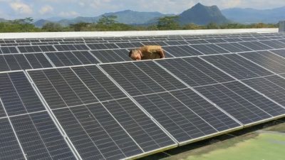 RSUD dr Soedomo Trenggalek Hemat Puluhan Juta Berkat PLTS Rooftop