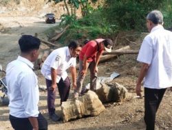 Bukan Batuan Lava Gunung Wilis Purba, PESAT Sebut Temuan di Bendungan Bagong Hanya Columnar Joint
