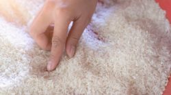 Kejagung Bakal Panggil Enam Perusahaan Terkait Dugaan Beras Oplosan