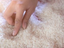 Kejagung Bakal Panggil Enam Perusahaan Terkait Dugaan Beras Oplosan, Satgas Fokus Usut Korupsi