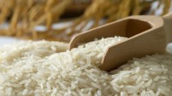 Bapanas Tegaskan Tak Ada Kenaikan HET Beras