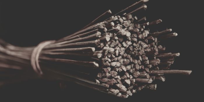 Filosofi Sapu Lidi: dari Kebersihan ke Kebersamaan