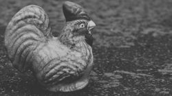 Celengan Ayam: Dari Tabungan Jadi Seberkas Harapan