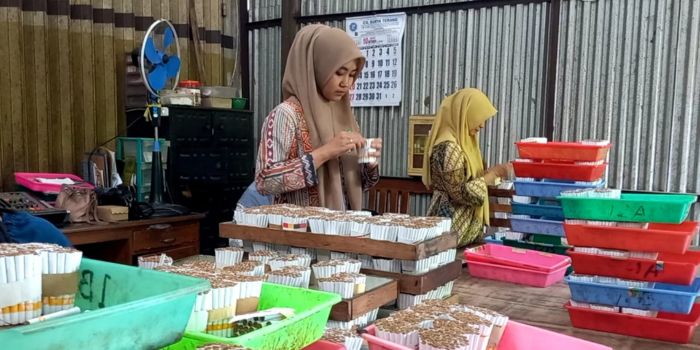 20 Ribu Warga Trenggalek Nikmati JKN Gratis Via DBHCHT