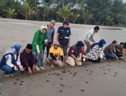 Desa Wonocoyo Masuk 30 Besar Wonderful Indonesia Award 2025, Angkat Wisata Konservasi Penyu