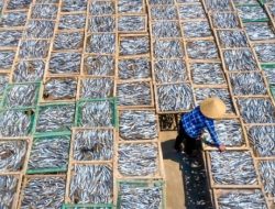 Potensi Kelautan dan Produksi Perikanan Trenggalek Naik Signifikan