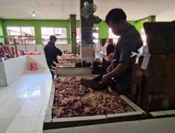 Produksi Ayam Pedaging Trenggalek Naik Signifikan di 2025