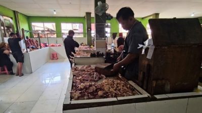 Produksi Ayam Pedaging di Trenggalek Naik pada Tahun 2025
