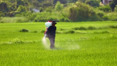 Serapan Pupuk Subsidi Trenggalek Meningkat