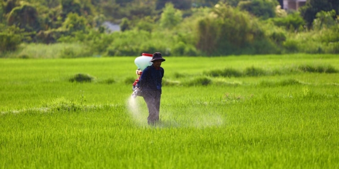 Petani jadi salah satu golongan yang harus mendapatkan perhatian lebih dari pemerintah.