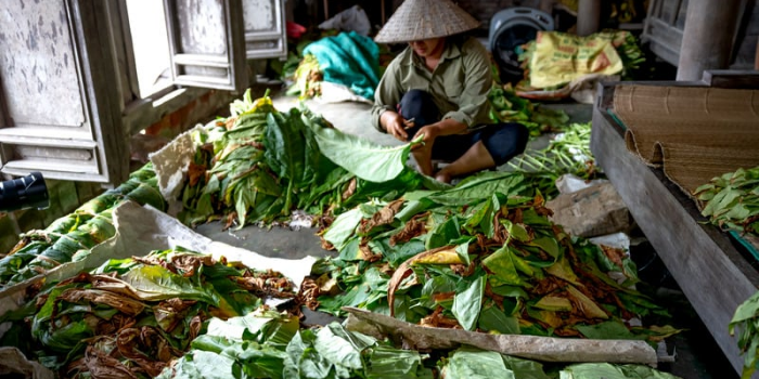 Dukung Petani Tembakau Lewat Bantuan Alsintan